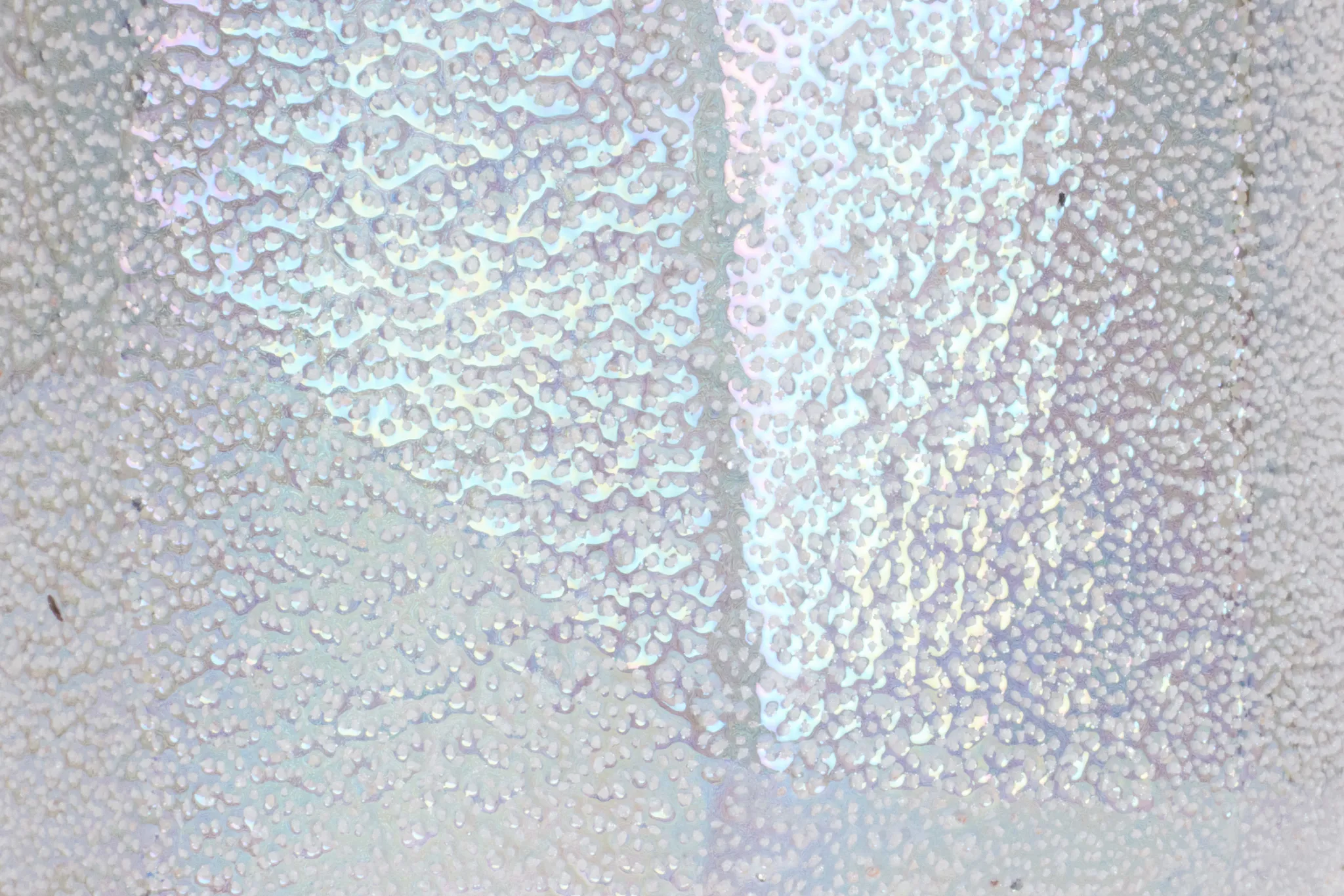 Silvia Small Silver Vase