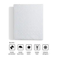 Dri-tec Sleeper Mattress Protector