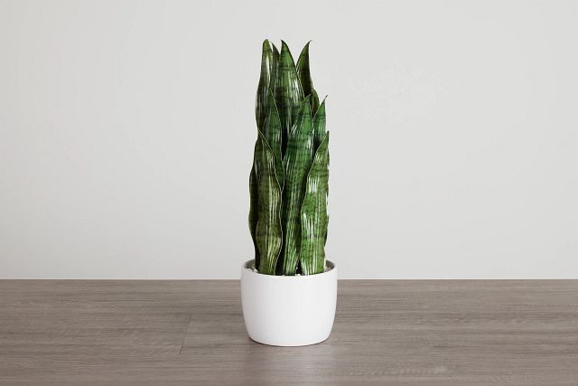 Snake Plant 24" Greenery