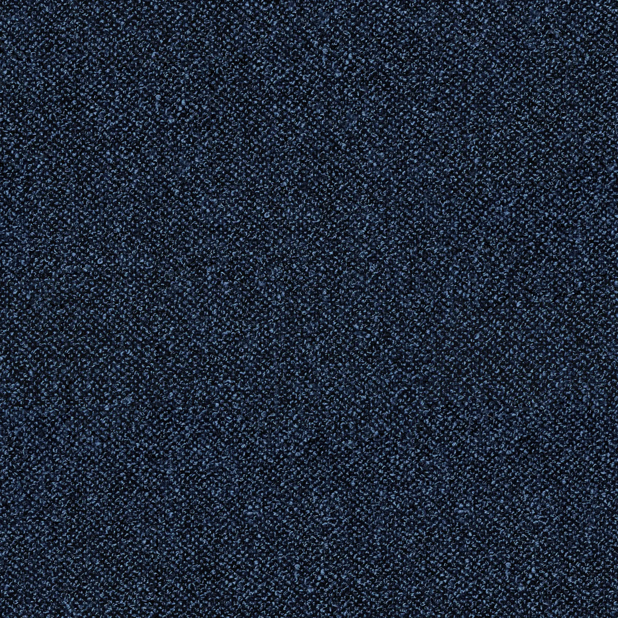 Captiva Elite Dark Blue 48" Upholstered Shelter Bed Captiva Elite Dark Blue 48" Upholstered Shelter Bed