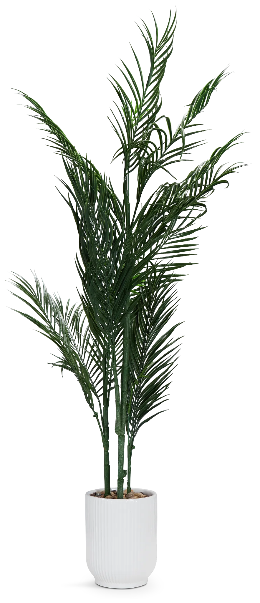 Potted Palm 48" Tree