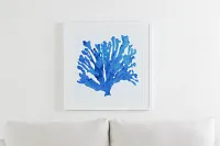 Coralrock Blue Framed Wall Art