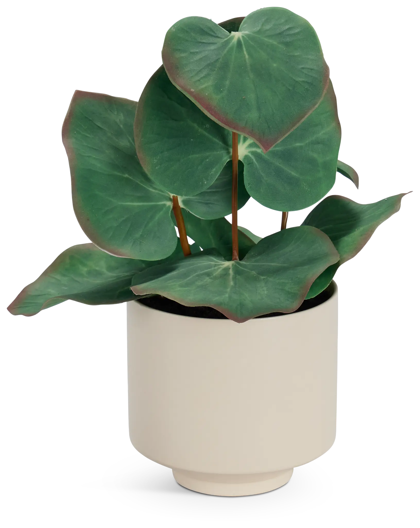 Water Lotus 11" Greenery Water Lotus 11" Greenery