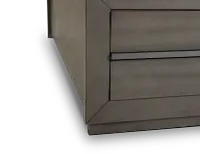 Zurich Gray Panel Storage Bed