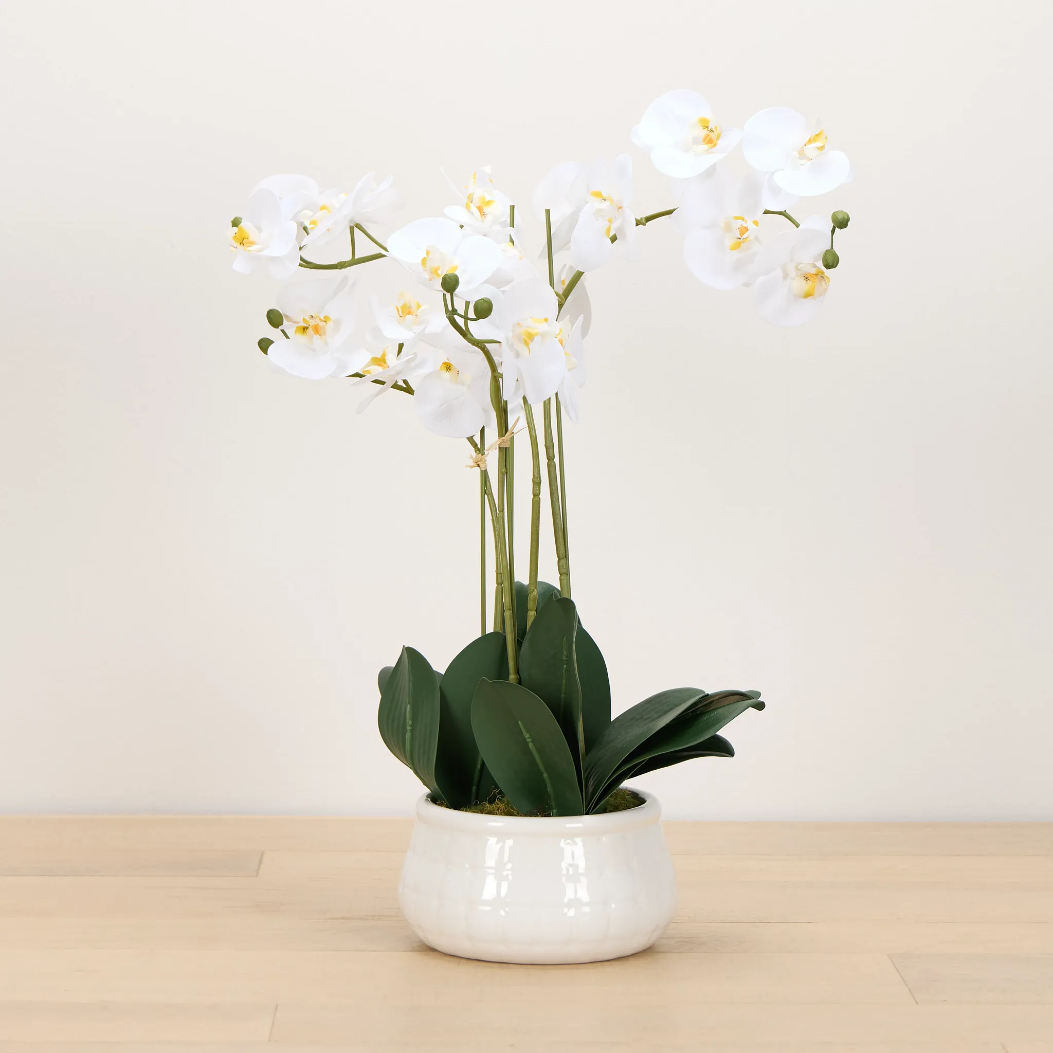 Orchid White 23" Floral Arrangement