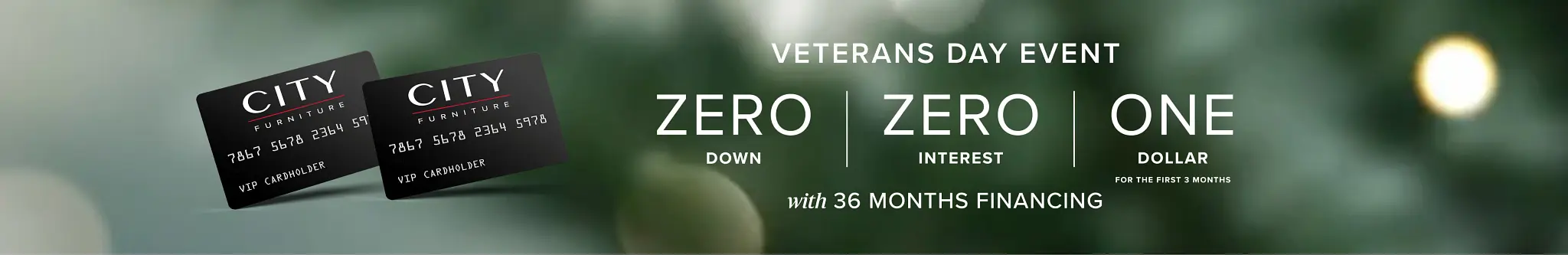 MAR14676-4525-1107-VeteransDayOffer-SIB-XLG.jpg