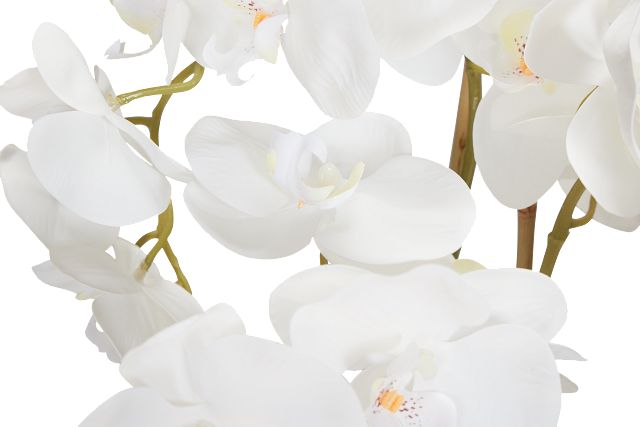 Potted Glass 22" Orchid