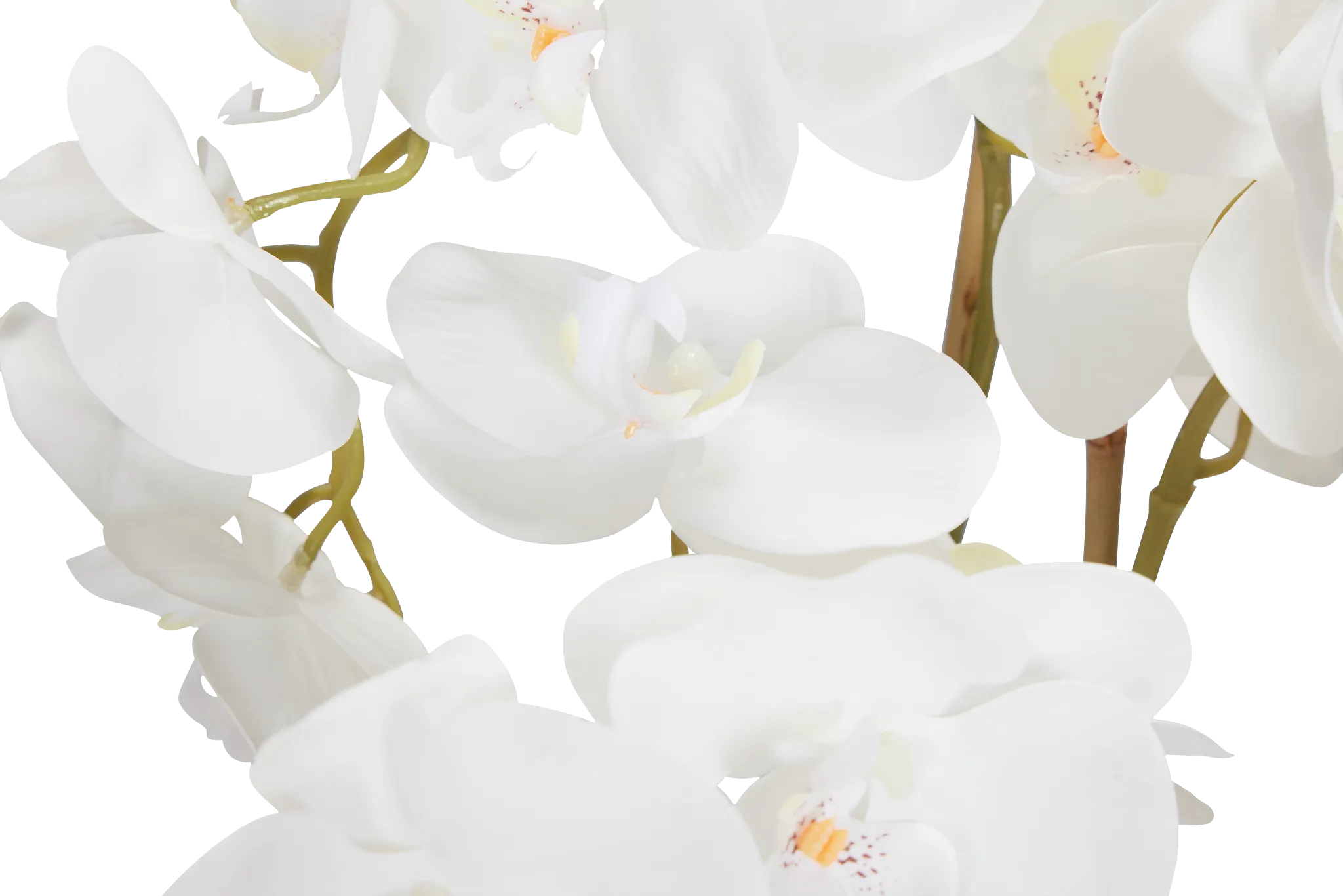 Potted Glass 22" Orchid