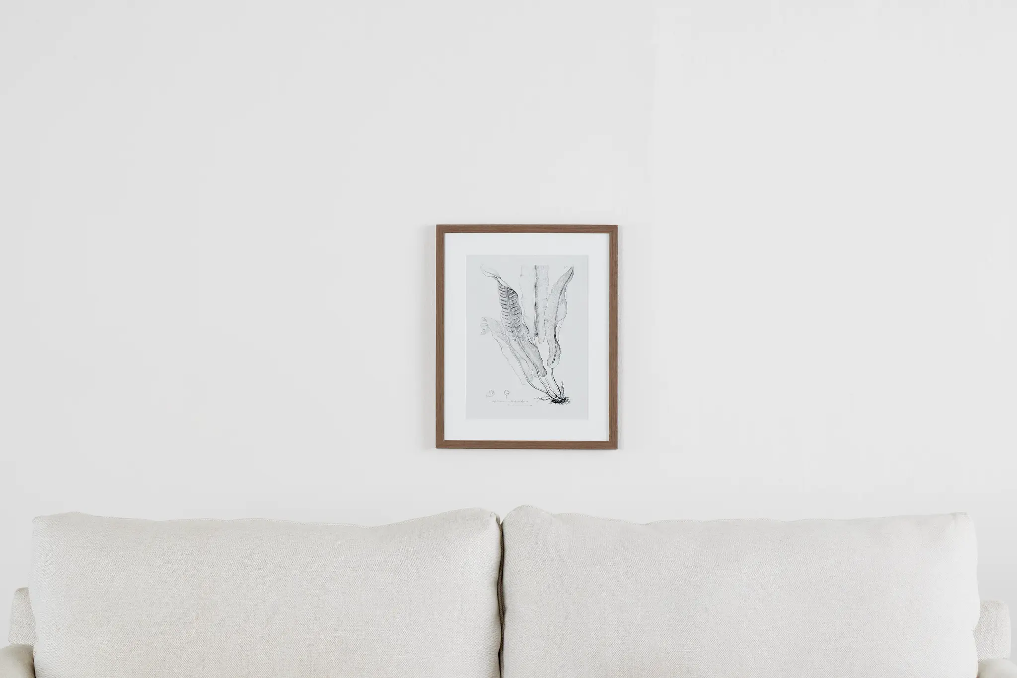 Leaflet Gray Framed Wall Art Leaflet Gray Framed Wall Art