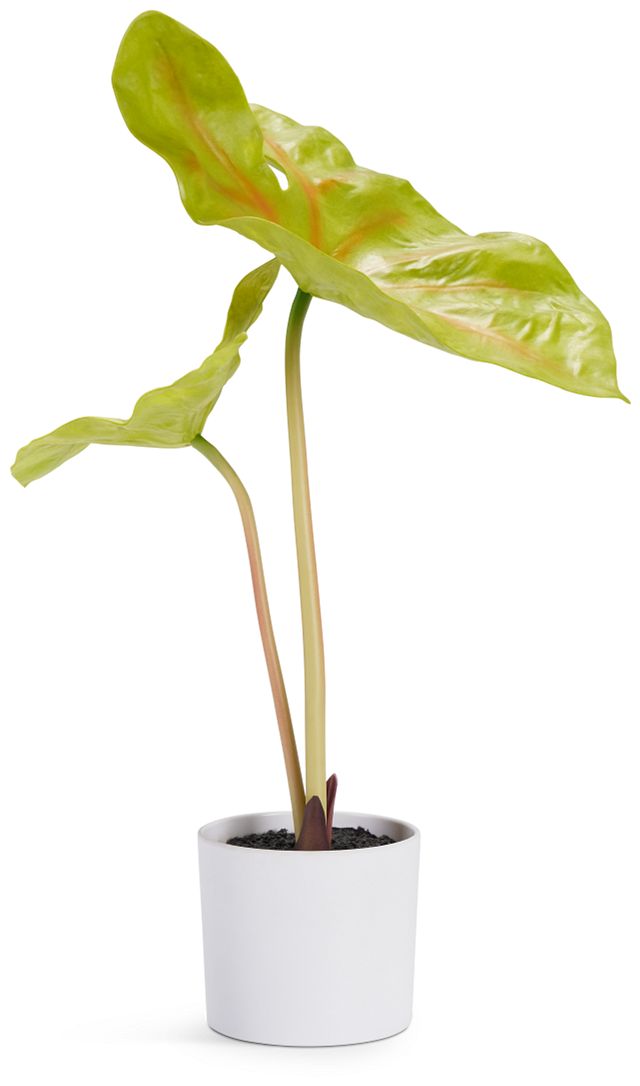 Taro 14" Greenery