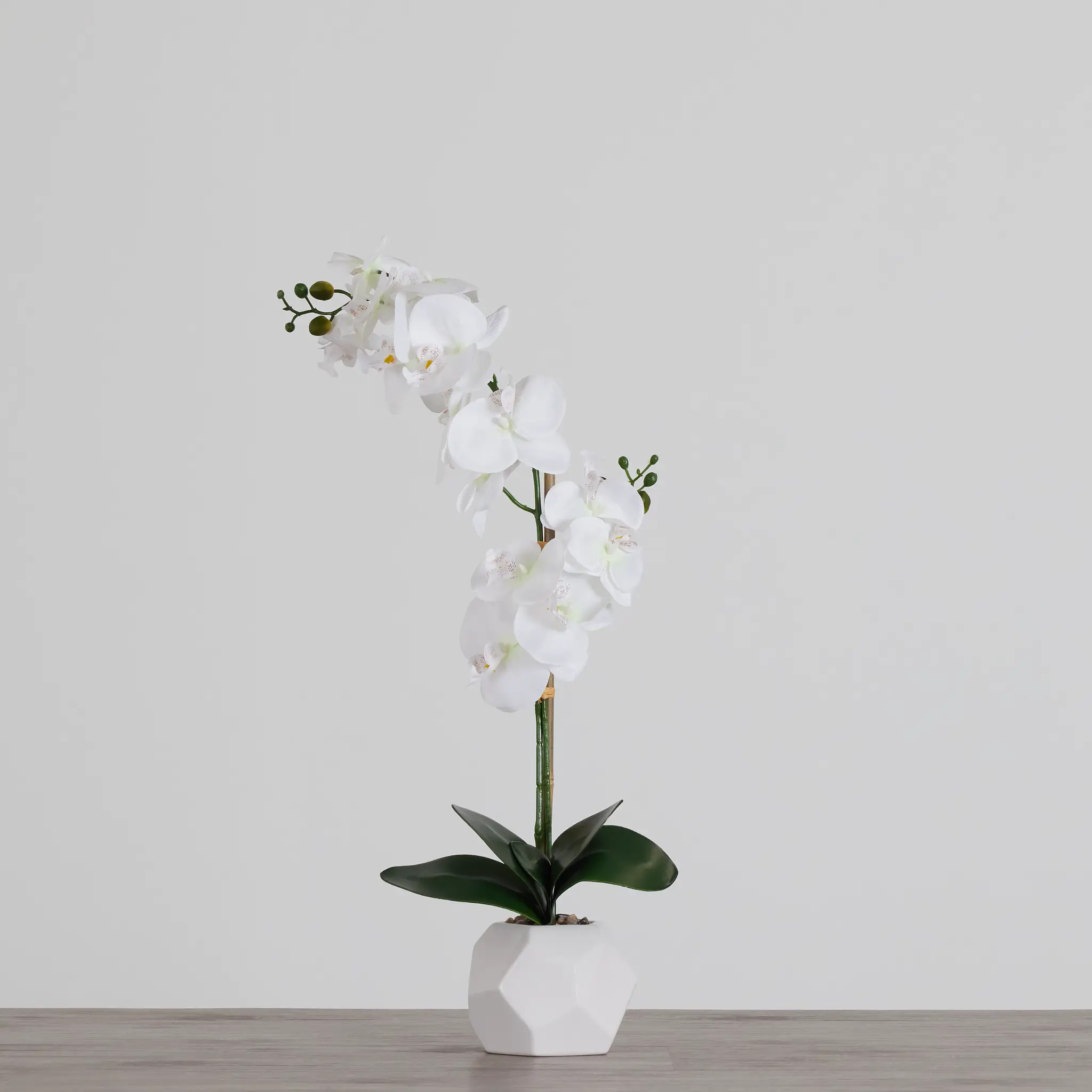 Potted White 26" Orchid Potted White 26" Orchid