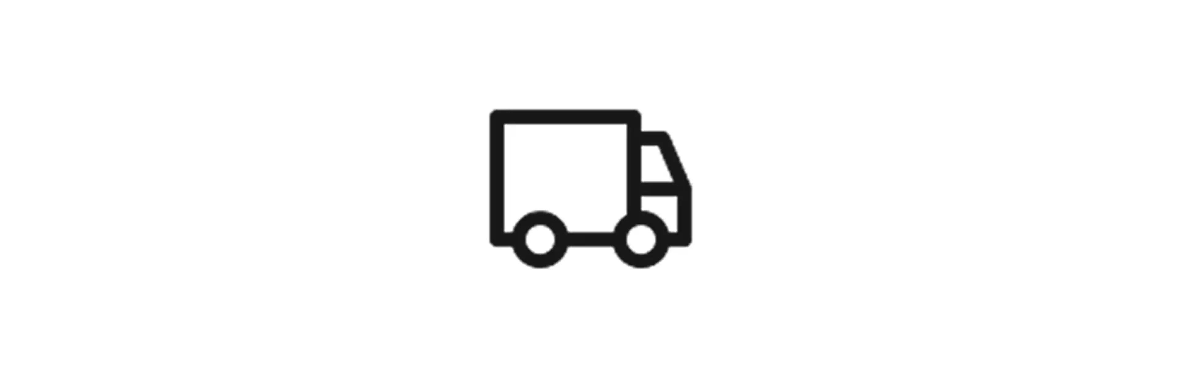 SAMEDAYDELIVERY_ICON_XLG.jpg