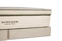 Avocado Green Plush Mattress Set