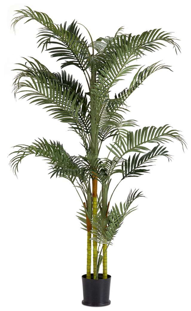 Areca Palm Home Accents Florals Greenery City Furniture