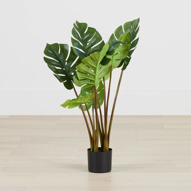 Monstera Green 31" Greenery