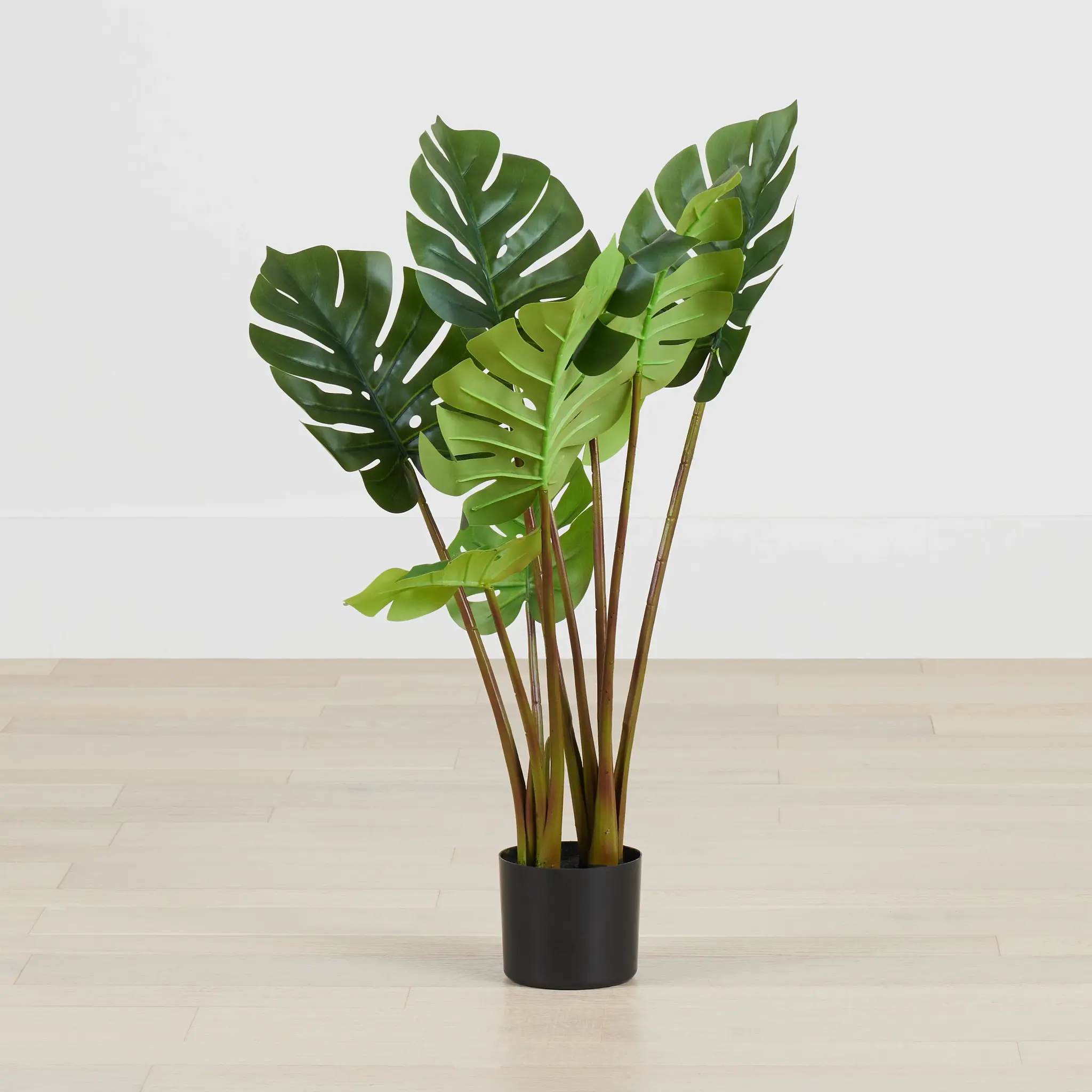 Monstera Green 31" Greenery Monstera Green 31" Greenery