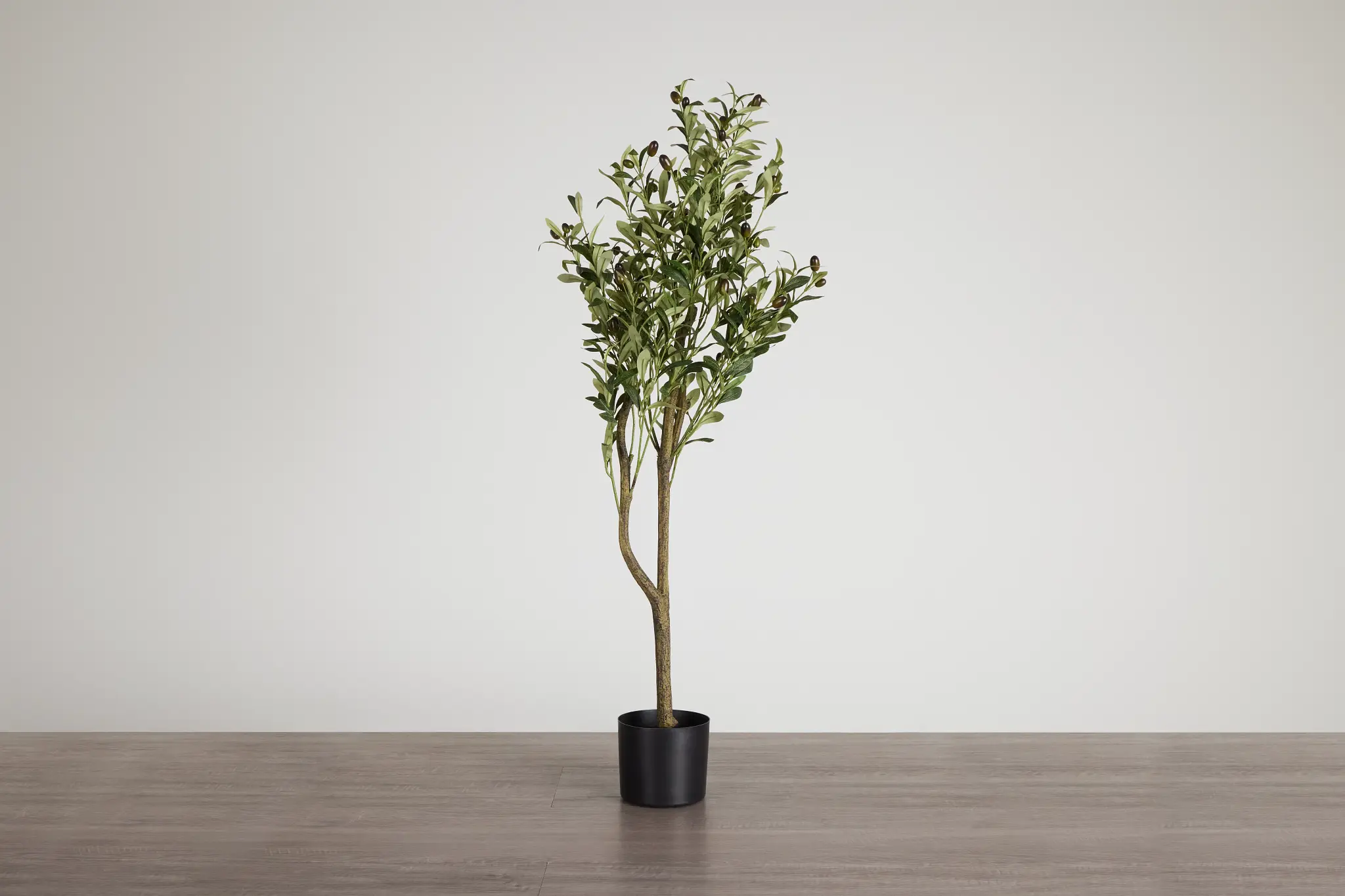 Olive Tree 48" Tree Olive Tree 48" Tree