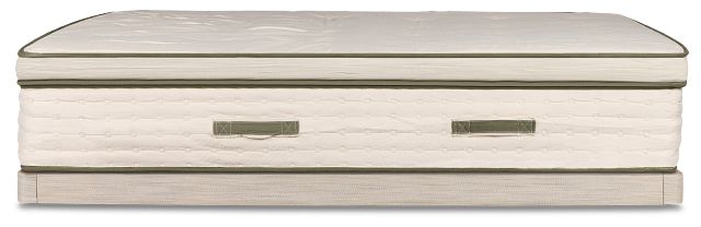 Avocado Green Plush Low-profile Mattress Set