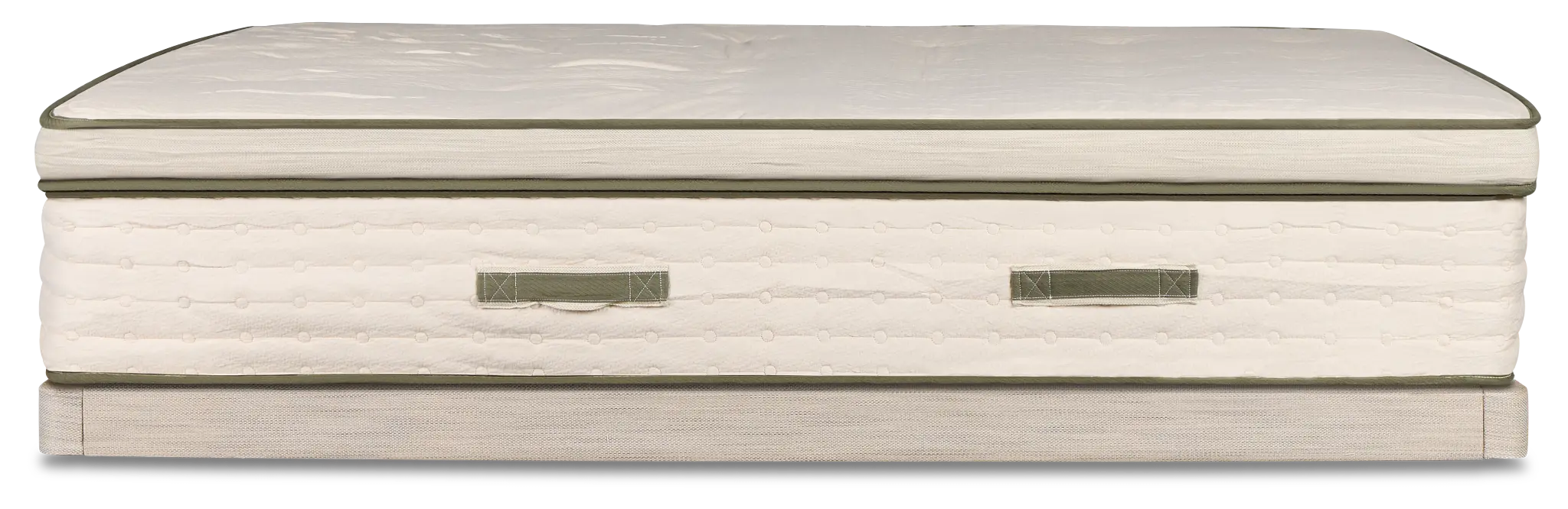 Avocado Green Plush Low-profile Mattress Set Avocado Green Plush Low-profile Mattress Set