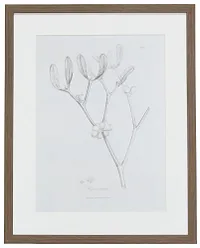 Sprout Gray Framed Wall Art