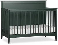 Riley Green 2-in-1 Crib