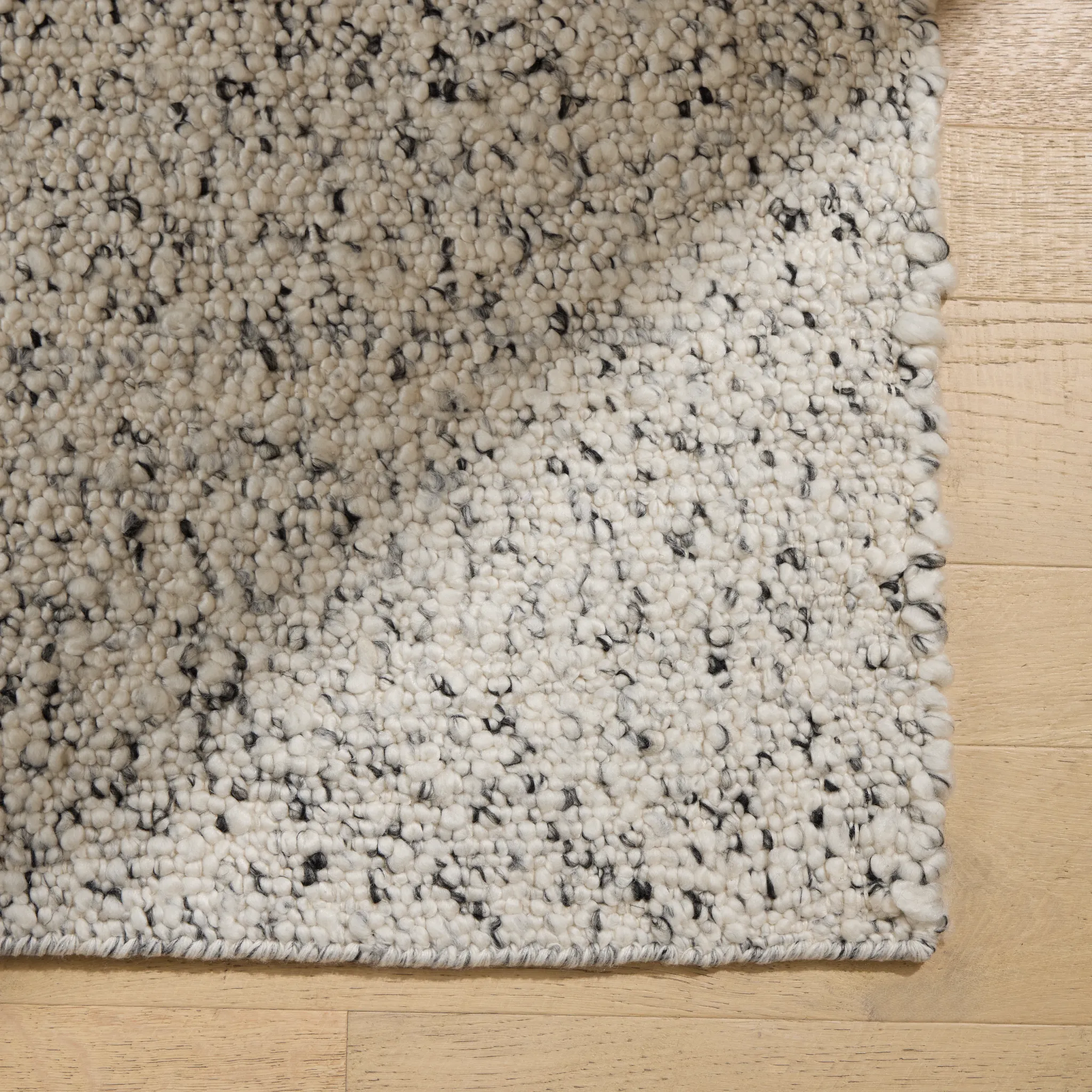 Aysu Multicolored 10x14 Area Rug