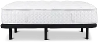 Aireloom Timeless Odyssey Luxetop M2 Plush Deluxe Adjustable Mattress Set