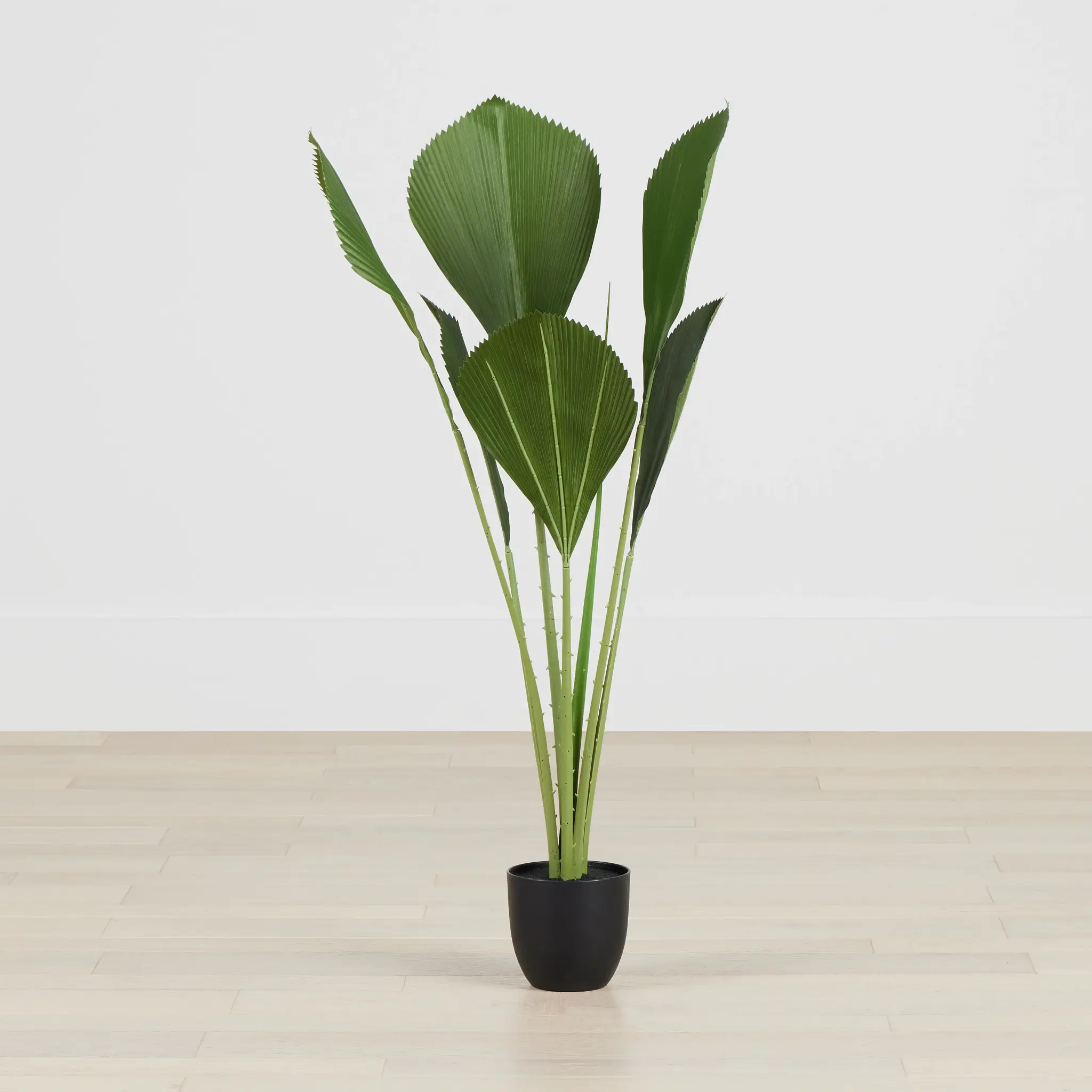 Fiddle Leaf Green 43" Greenery Fiddle Leaf Green 43" Greenery