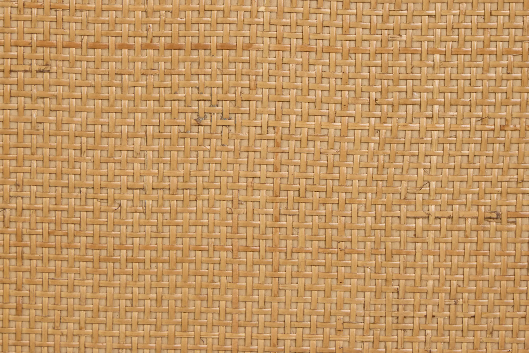 Pacific Light Tone 48" Single Bathroom Vanity