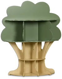 Ferni Green Storage Bookcase