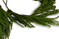 Cryptomeria 72" Garland