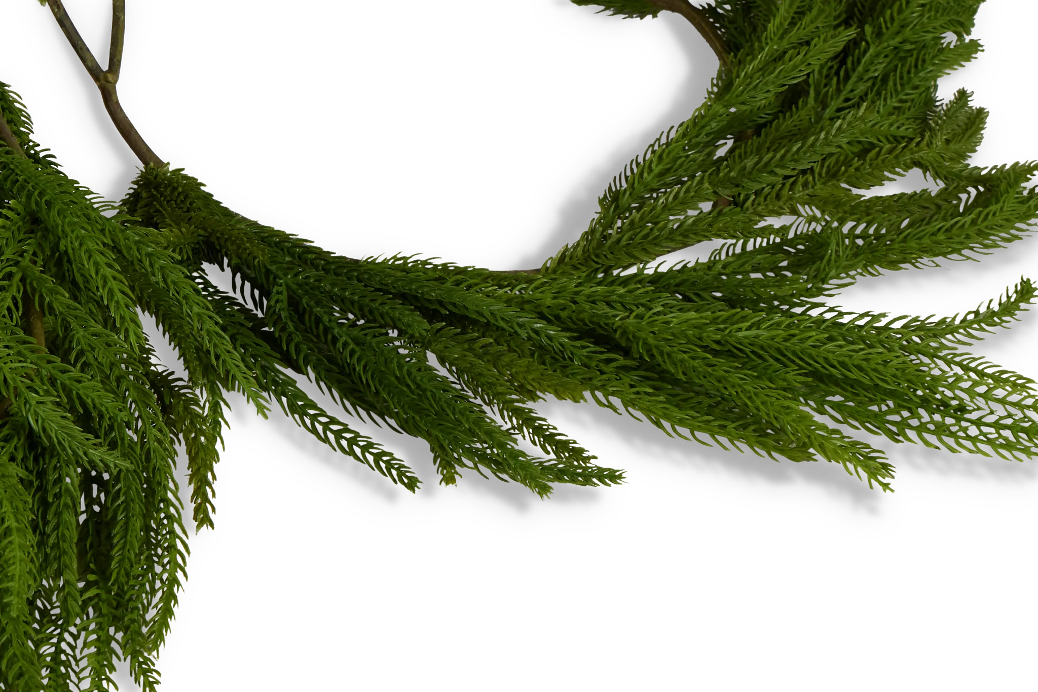 Cryptomeria 72" Garland