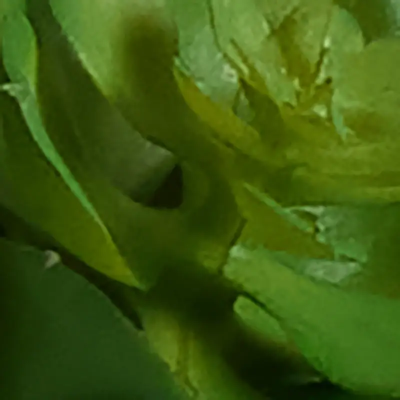 GREEN Desert Plant 5.5" Succulent