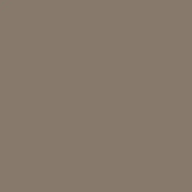 TAUPE Royale Taupe 20" Accent Pillow