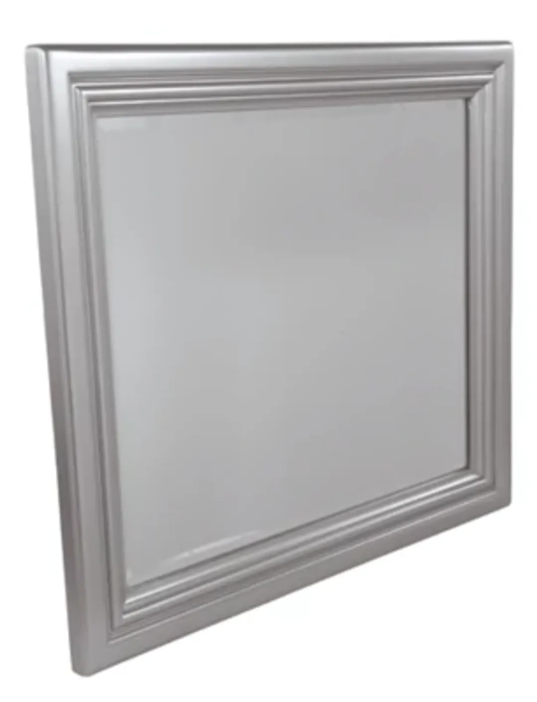 Coralayne Silver Mirror