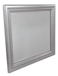 Coralayne Silver Mirror