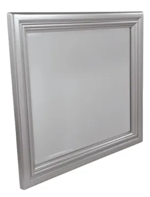 Coralayne Silver Mirror