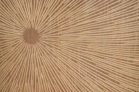 Elsa Light Brown Vase
