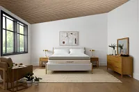 Avocado Green 15.50" Plush Box Top Mattress