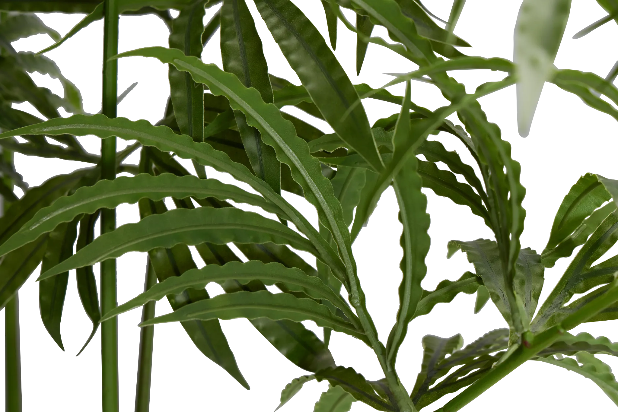 Leatherleaf Fern Black 47" Greenery