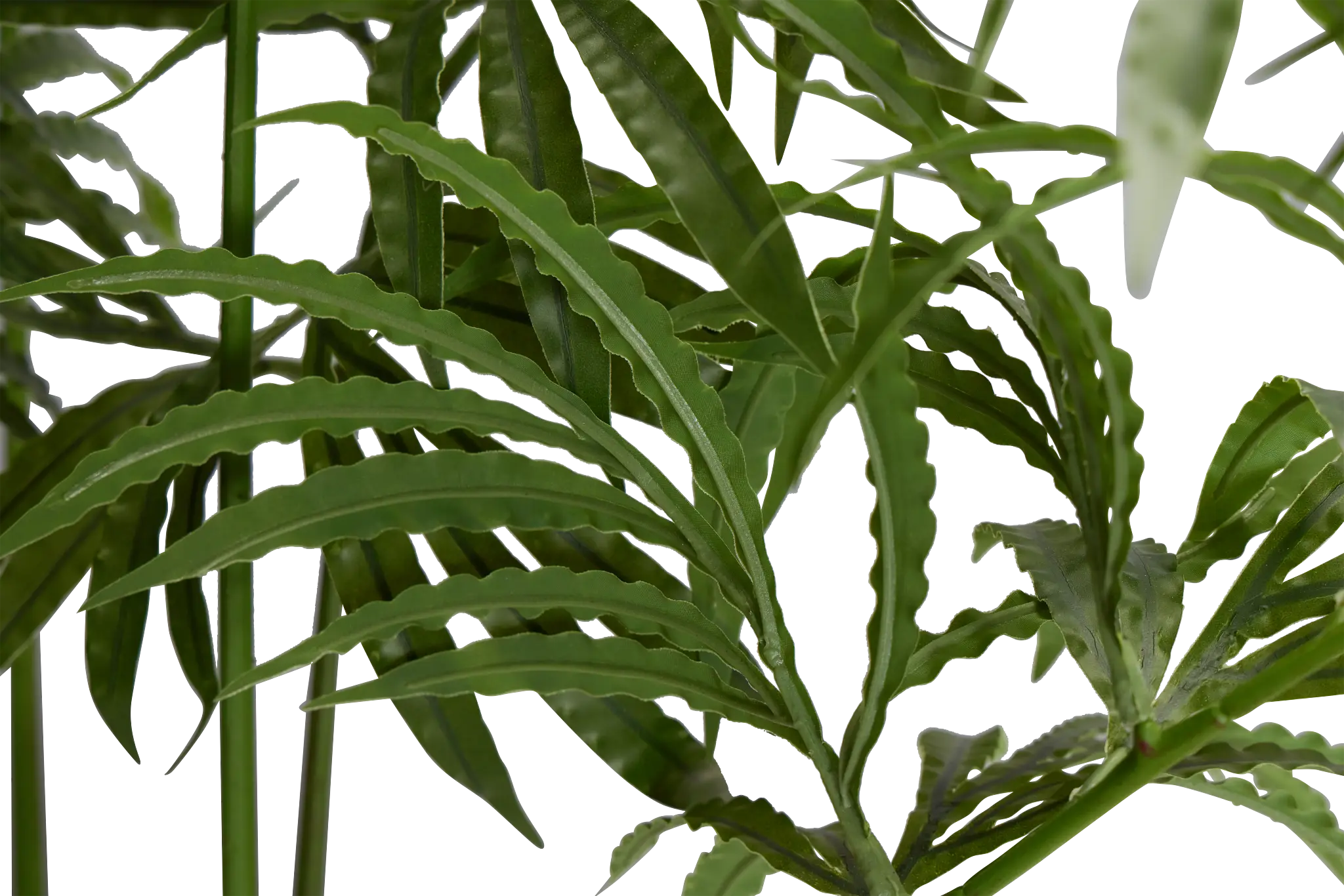 Leatherleaf Fern Black 47" Greenery Leatherleaf Fern Black 47" Greenery