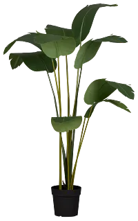 Bird Of Paradise 6' Green Greenery