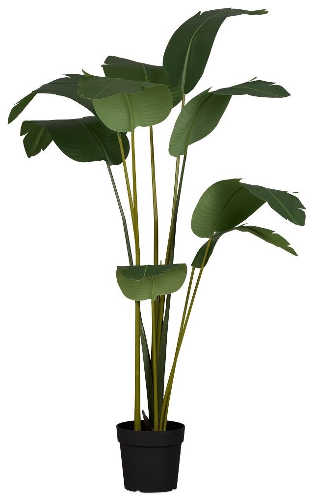 Bird Of Paradise 6' Green Greenery
