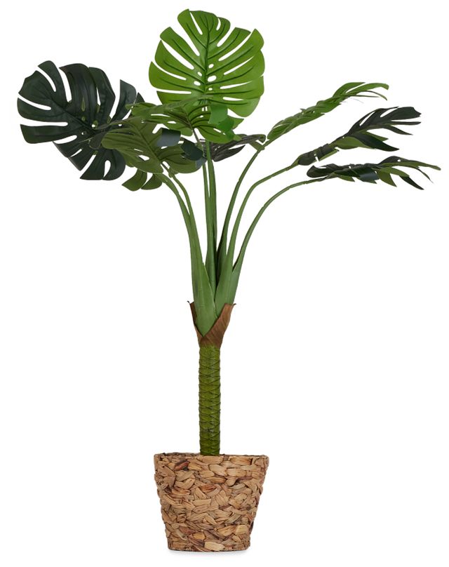 Monstera Deliciosa 51" Greenery