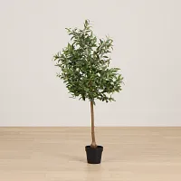 Olive 5" Green Tree