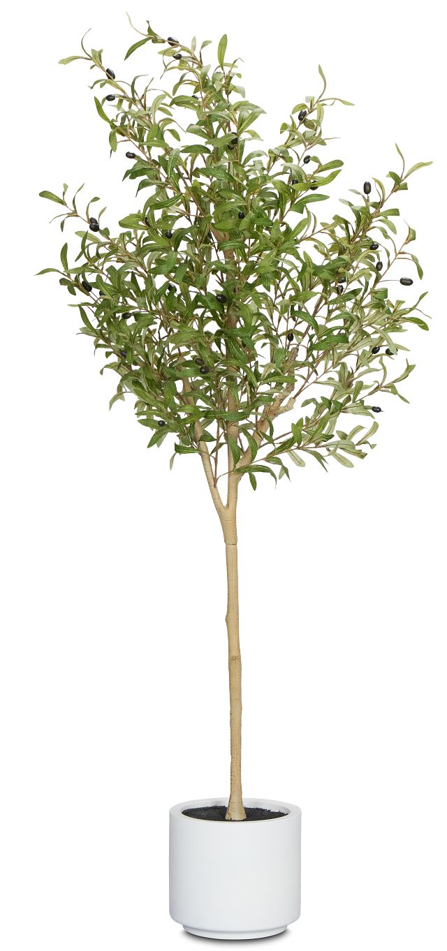 Oliver Green 5' Tree