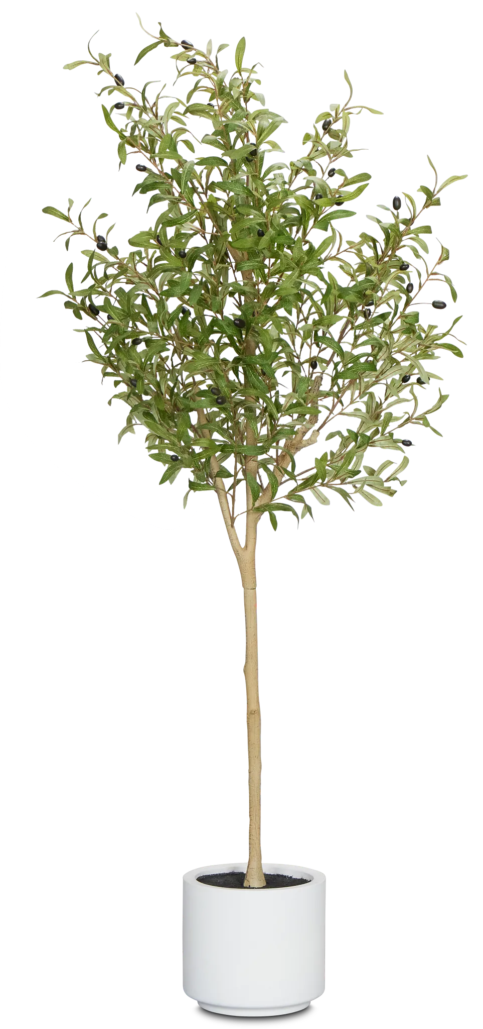 Oliver Green 5' Tree