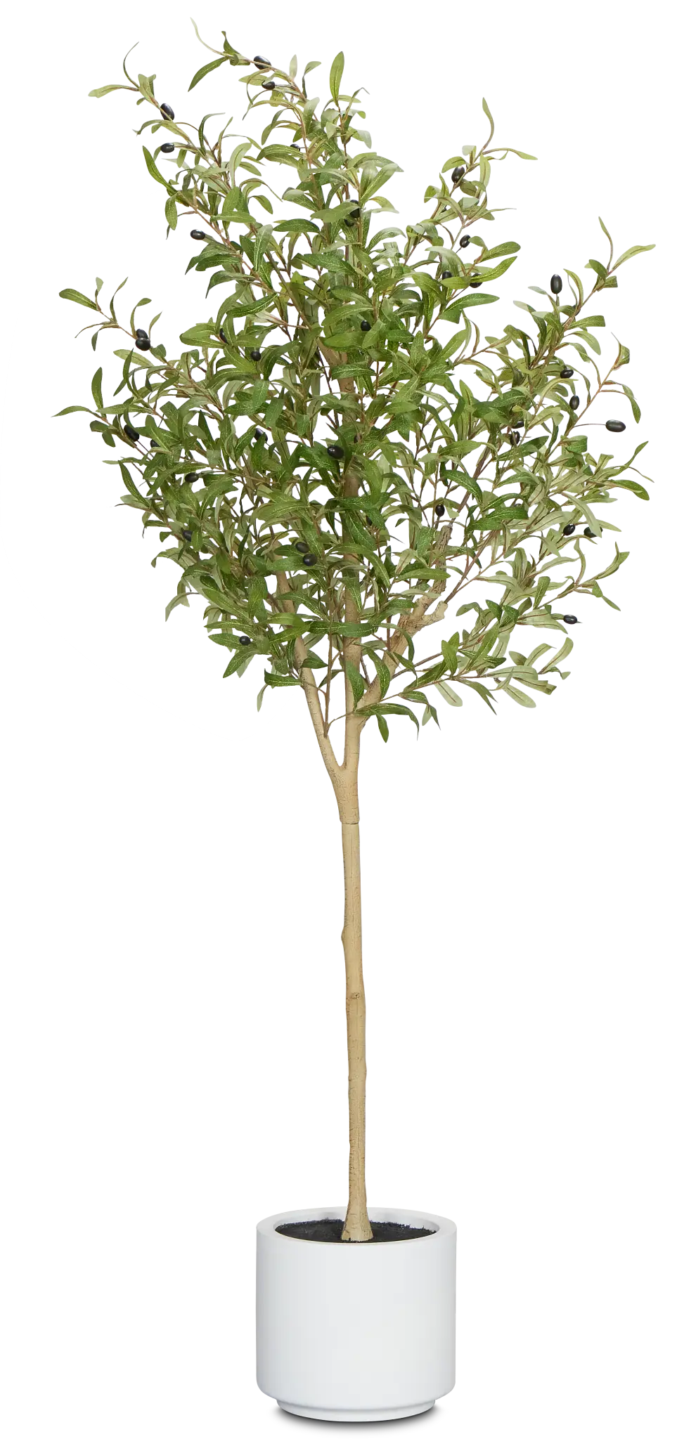 Oliver Green 5' Tree Oliver Green 5' Tree