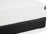 Rest & Renew By Zinus Gel Memory Foam Mattress 8" Cush Firm Low-profile Mattress Set