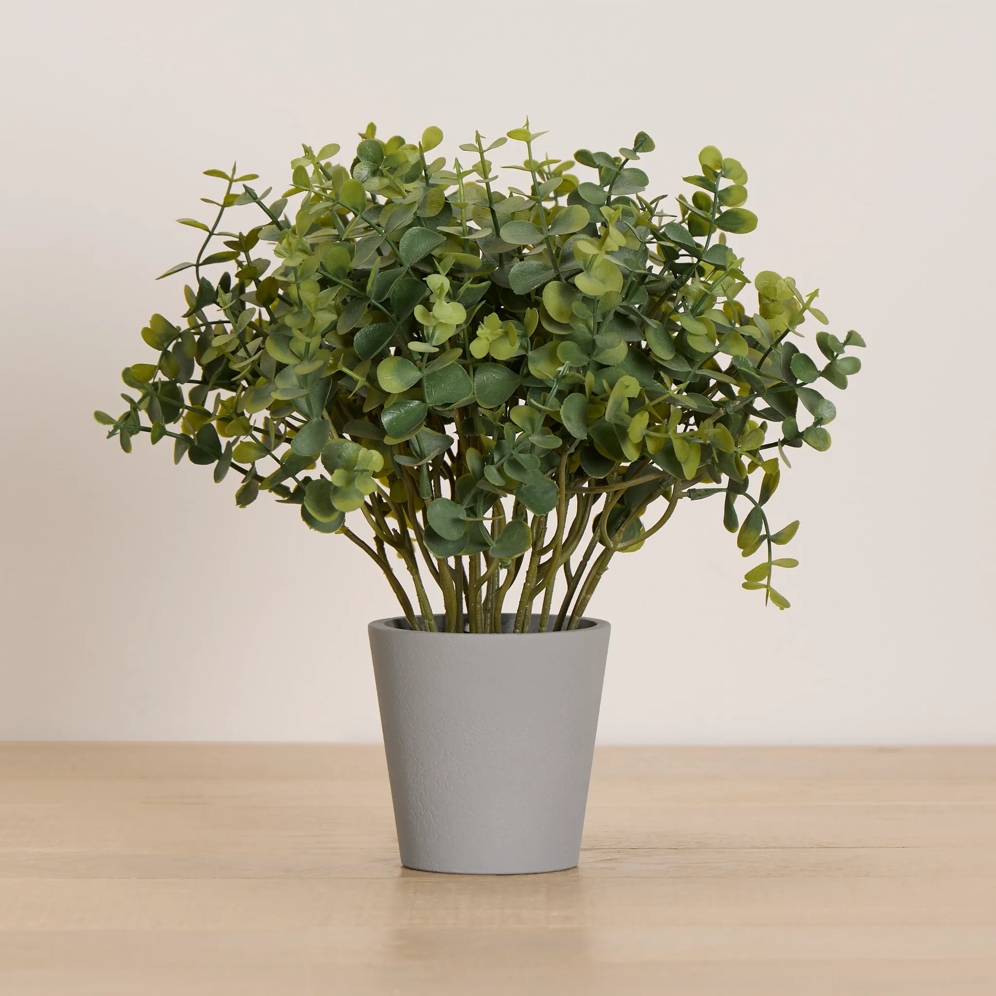 Eucalyptus Small Greenery